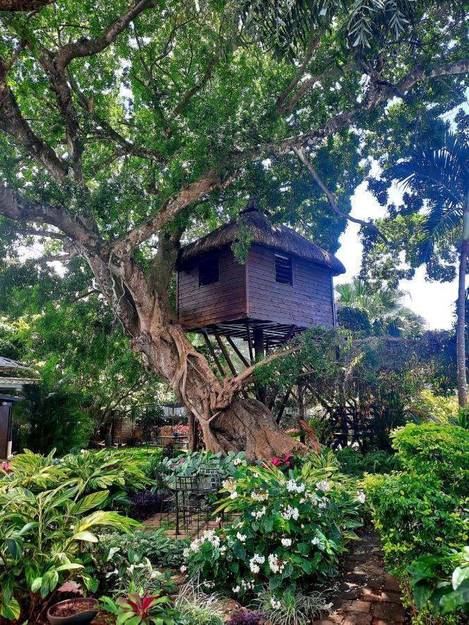 Tree Lodge Mauritius 벨마르 외부 사진