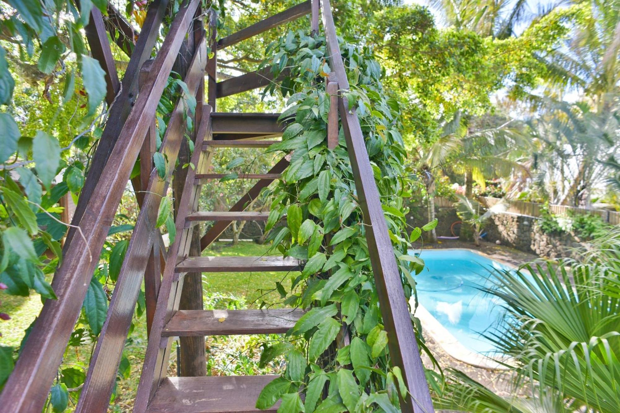 Tree Lodge Mauritius 벨마르 외부 사진