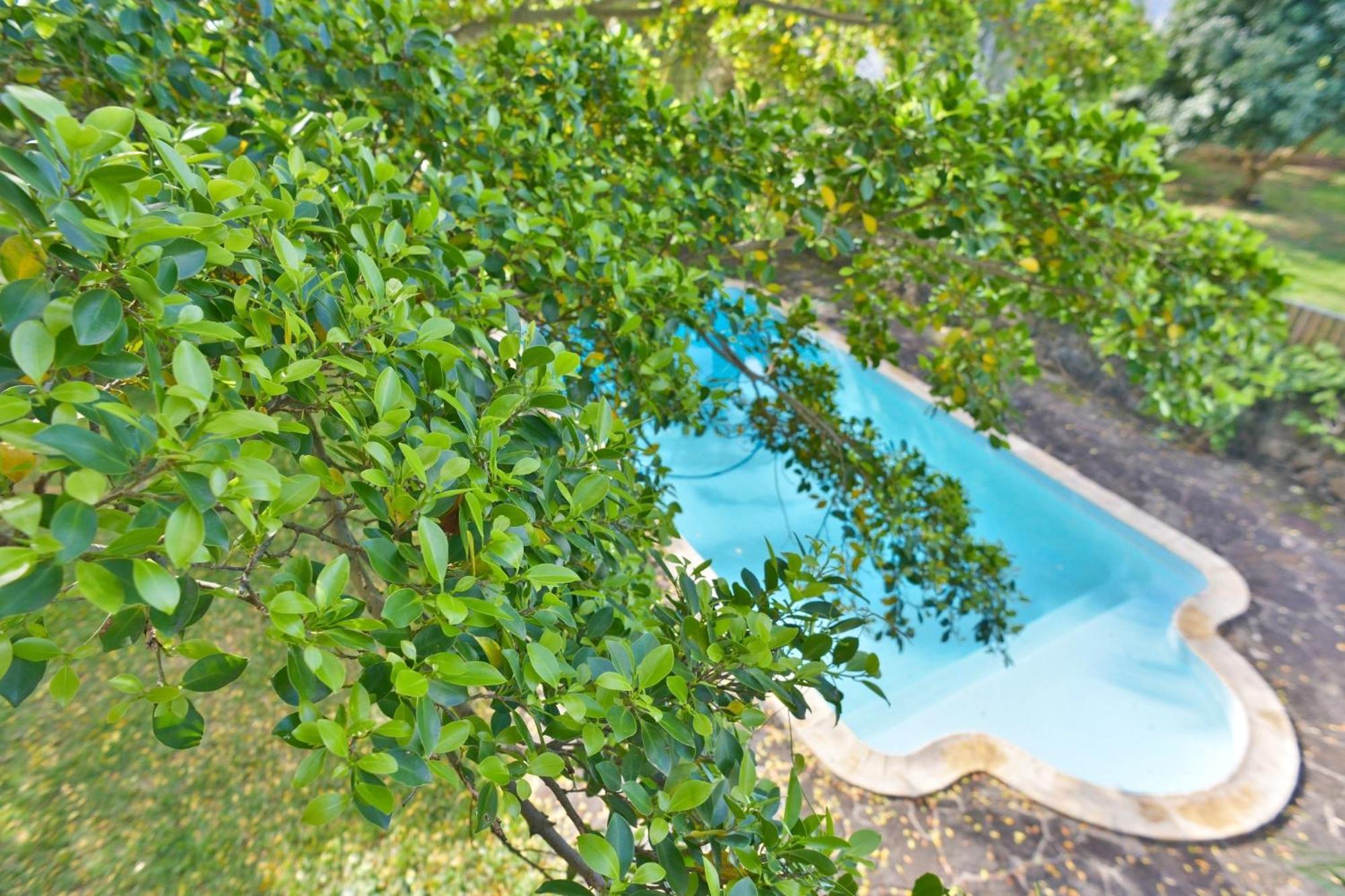 Tree Lodge Mauritius 벨마르 외부 사진