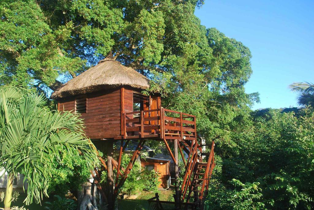 Tree Lodge Mauritius 벨마르 객실 사진